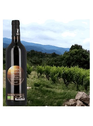Terra Soleilla - Élégancia-Pays d'Hérault Côtes de Brian   2018