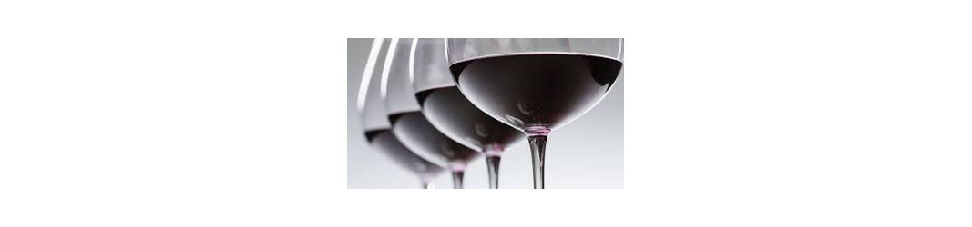 VINFINPASCHER | Découvrez nos gammes de vins rouges à prix déstockage !